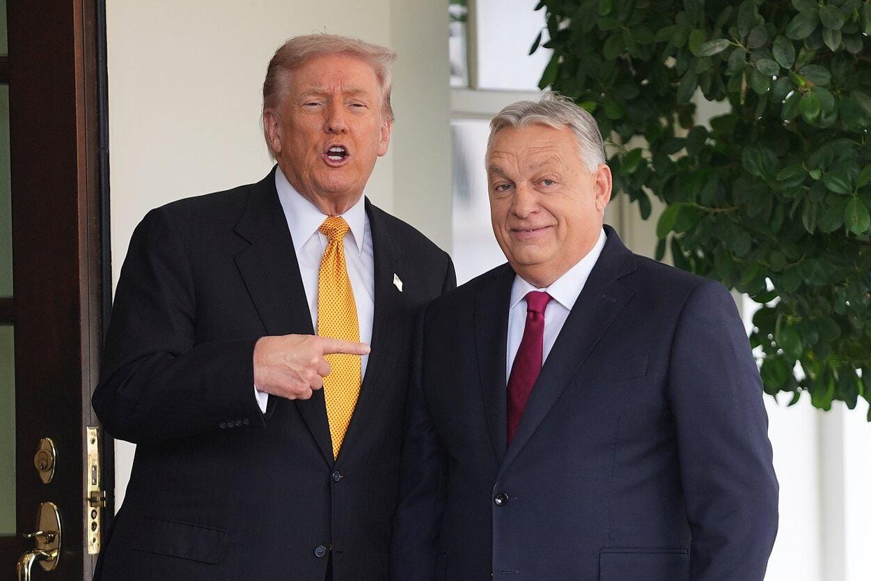 MAGA-токсичность. Как фактор Трампа и его прямые попытки вмешательства влияют на выборы по всему миру